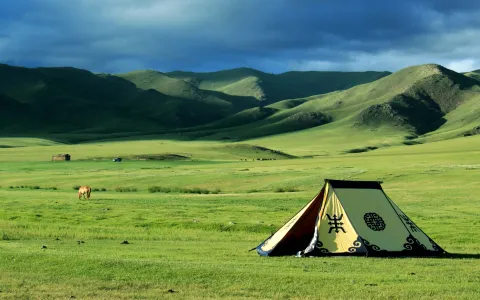 Туристическая виза в Монголию