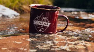 канадская чашка