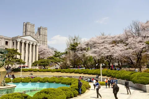 Высшее образование и языковые курсы в Южной Корее