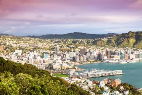 Недвижимость в Новой Зеландии