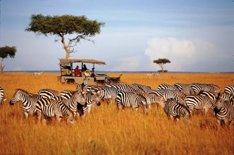 Туристическая виза в Танзанию