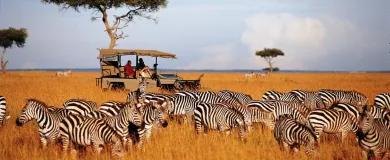 Туристическая виза в Танзанию